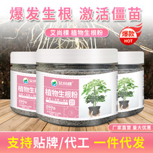 家用植物生根粉养花种菜农用生根液园艺生根剂缓释肥颗粒肥肥料