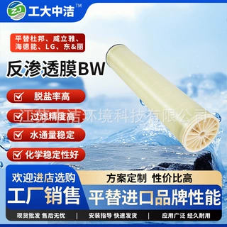反渗透膜水处理滤芯海水淡化平替杜邦、威立雅、海德能、LG东&丽