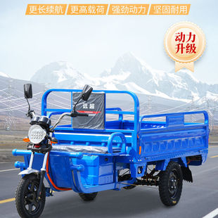 國標電動三輪車三輪車電動新款快遞車載重王山區版農用車成人貨運