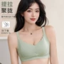 春季薄款中厚新品文胸