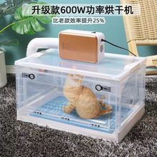 猫咪烘干箱家用洗澡烘干机洗澡吹风机狗狗吹水机小型宠物吹干厂家