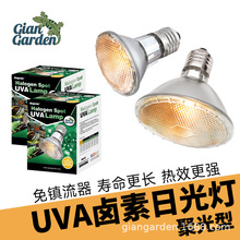Giangaeden�������xUVA�ӟ�����������������������؟��۹��