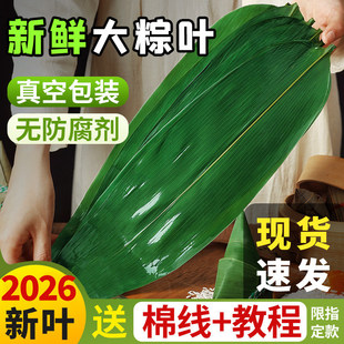 ���~�����~���r��̖���~�N���~�Fժ���l�ش��JȔ����Ռ��ô��l