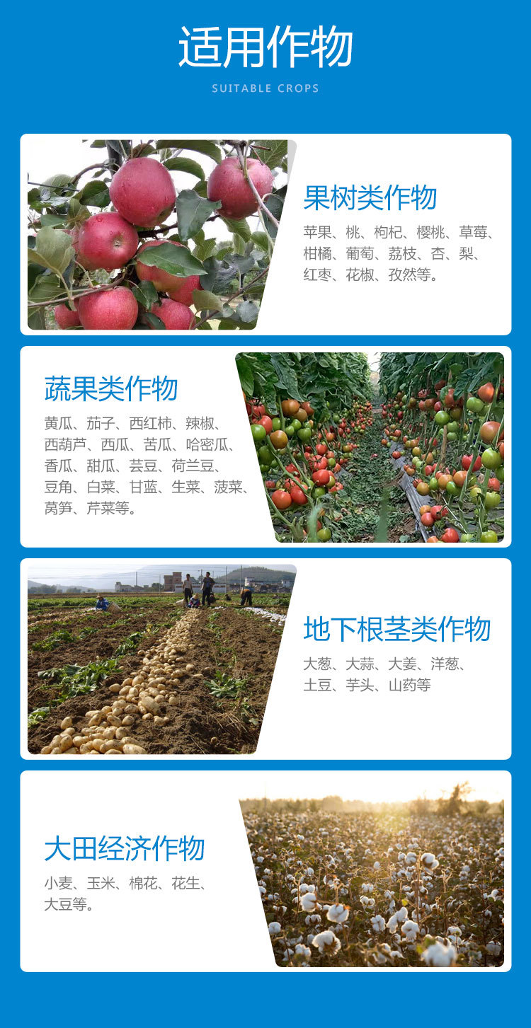 ����������ҳ_09