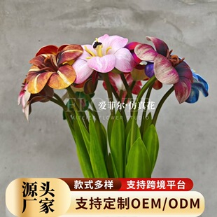 �_����������滨��c�Y��·�����Ų廨��Y��������������ٻ�