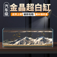 金晶超白玻璃鱼缸家用客厅专业造景大型溪流缸裸缸小型生态乌龟缸