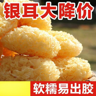 �y����؛��ľ��ѩ���ǳ��ɏ�Ӹ�ܛŴ���z���y��ɏ
