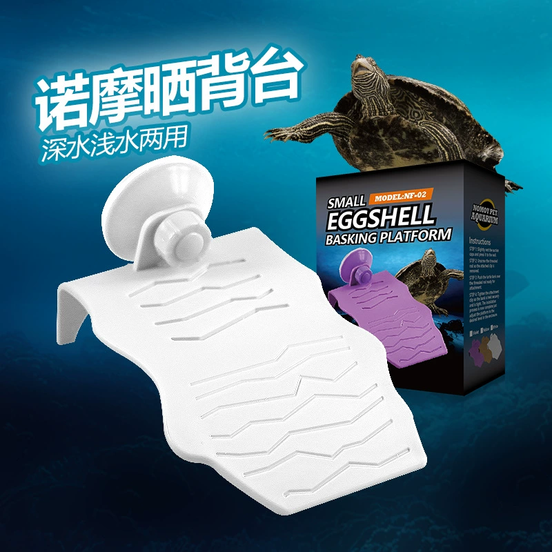 НОМО Черепаха Закат Восхождение Лестница Избегая Восхождение Лестница Домашнее Животное Сушка Вернуться Стол Маленькая Черепаха Пейзаж Закат Плавающий Остров