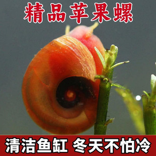 �O���ݳ����^�p���~���坍��ʳ����ˮˮ�|�坍�����O����
