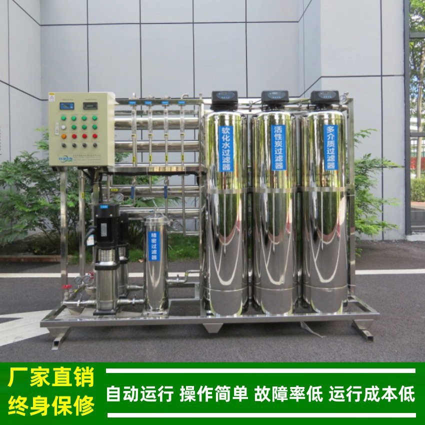 250L二级反渗透纯化水设备_纯水设备含调PH加碱装置厂家绿健供应