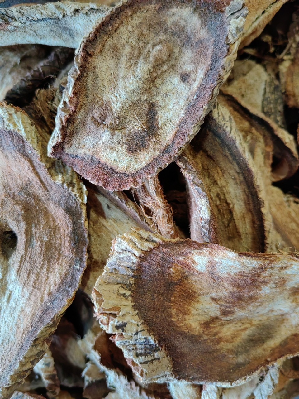 Red Kwao Krua Root (Pueraria mirifica) — Thai Botanical for Wine & Tea Infusions quality and texture