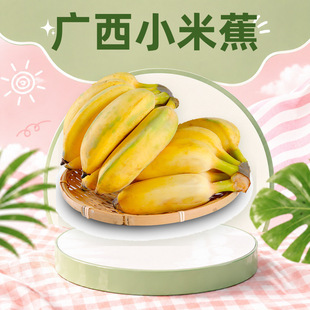 ��ֹ���G�V��С�׽� ���l2/3/5/9����Ƭ���U�㽶������Ŵ���rˮ��