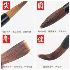 Brush calligraphy students practice calligraphy training class wolf hair sheep hair and hair brush suitable for adult beginners calligraphy brush