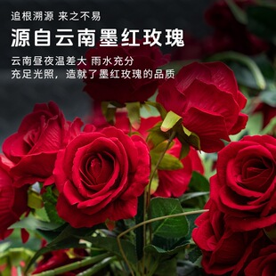 ���x�o�����ī�tõ�廨���؃����·��r���ɴ���ذ��r��Դ�^õ��
