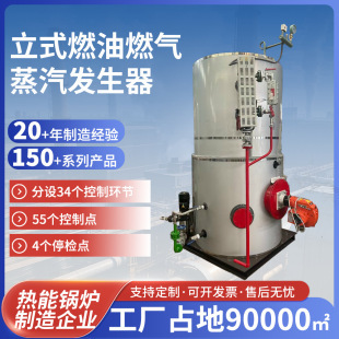 燃气蒸汽发生器高温蒸煮烧水食品加工餐具消毒用蒸汽发生器