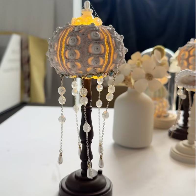 Concha de erizo de mar, lámpara de medusas, paquete de material, equipo de construcción, actividad hecha a mano, adornos de luz nocturna, luz de ambiente, regalo de alta gama