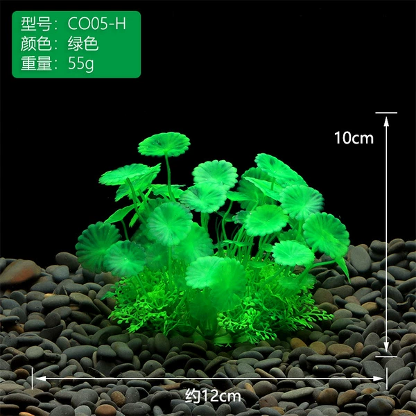 CO05-H【Green】