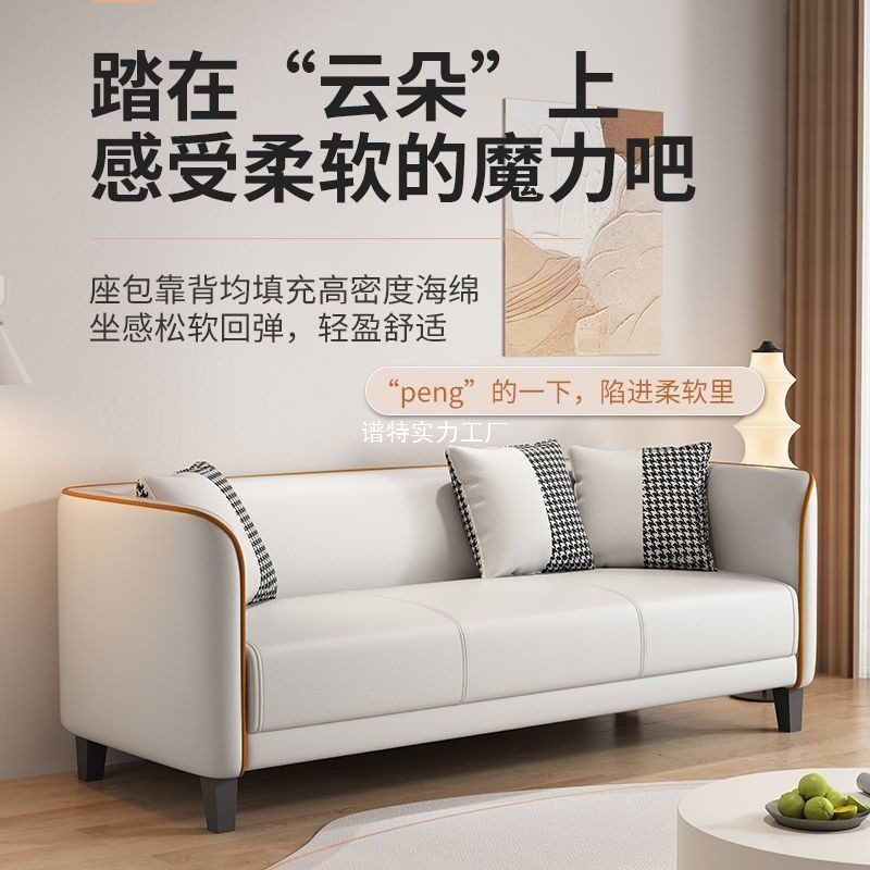 沙发小户型出租屋小沙发轻奢客厅家用简约现代公寓双人科技布沙发