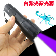 �Bϐ��ϐ�ӌ��ß� �׼����p��Դ�ɓQ늳س���Ϲ����Ͳһ�����l