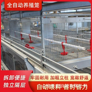 蛋鸡笼鸽子笼养殖场层叠式养鸡设备肉鸡H型笼养殖鹌鹑笼肉鸡A型笼