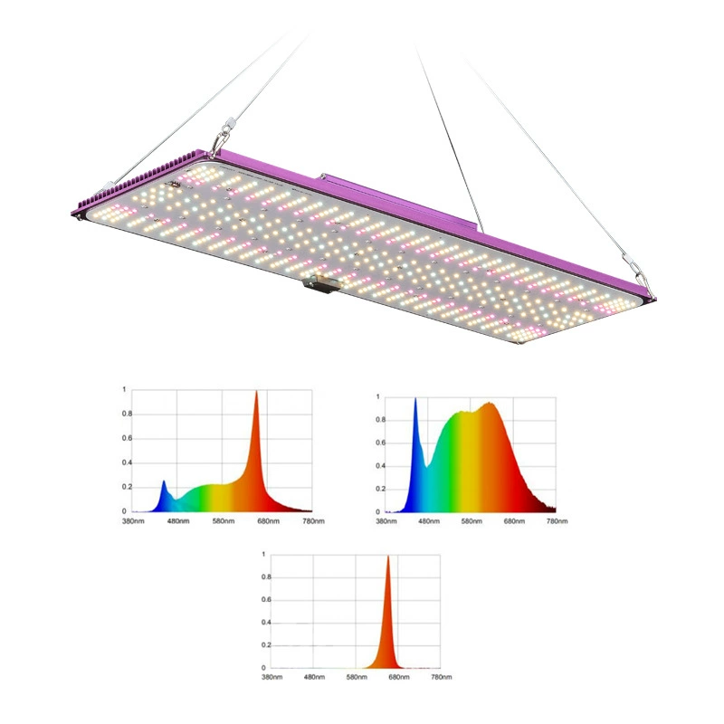 LED-лампа для растений, подсветка, квантовая лампа, 100 Вт, 200 Вт