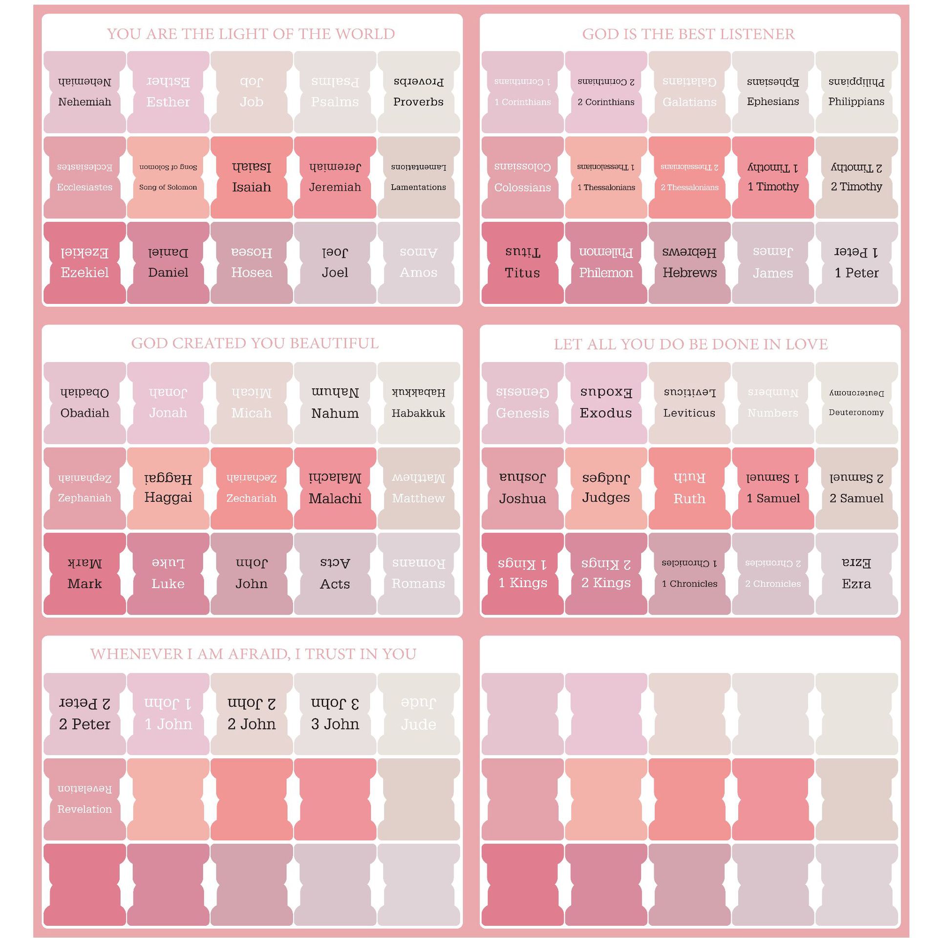 새로운 핑크 컬러-6 사진