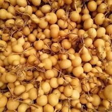 ���J�؃r����������С���J��Ʒ���lС���ְѼ���Ȼ���J�������