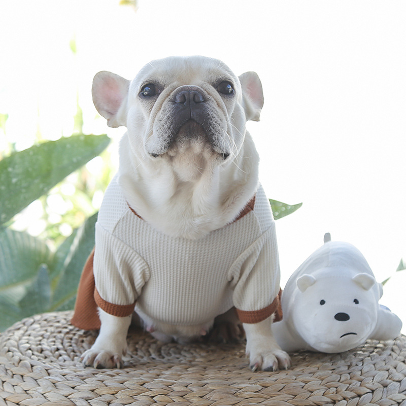 Camiseta con falda para mascotas, camiseta para parejas, osito de peluche, ropa para perros medianos_voghion.com