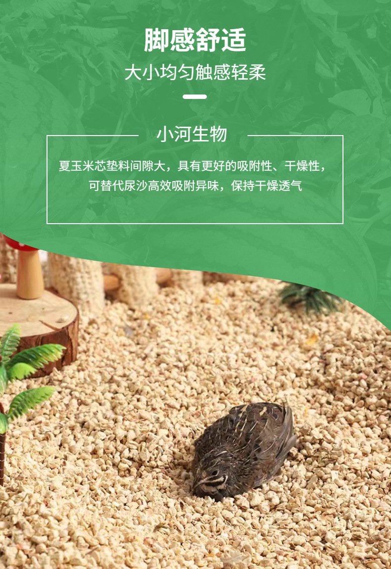 夏上新食品西瓜详情页 (3)