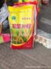 Drought rice early rice late rice stalk rice routine rice seeds, rice seeds, original species