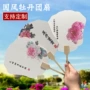 洛阳打卡拍照景区扇