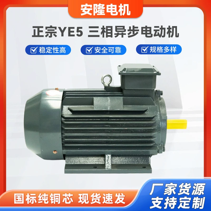 Аутентичный YE5 первоклассный энергоэффективный трехфазный асинхронный двигатель электромагнитного регулирования скорости двигателя с переменной частотой вращения трехфазный двигатель