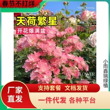 һ�����l��ɷ����¼������ش����������¼��ٱ��¼���֭�̨��