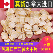 进口西洋参片加拿大美国花旗参片西洋参整支段切片大中小片500克