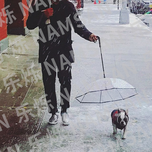 Transparent pet umbrella, dog umbrella, pet supplies manufacturer direct sales, assembled umbrella, rainy day dog ​​walking leash, wholesale dropshipping