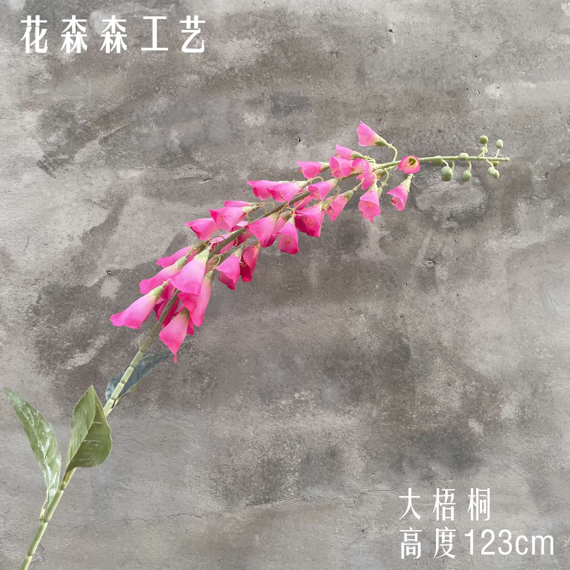 빅 시카 모어 161251