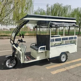 电动三轮车;其他电动车;三轮车