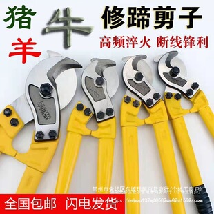 ţ���i�����ţ���i�������������ţ���Bֳ��ƷĬ�J���ֺ�޼��Q