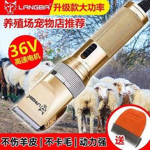 �¿��ǰ�36V����늄���ë������ë������ӹ���ë���d��qɽ��