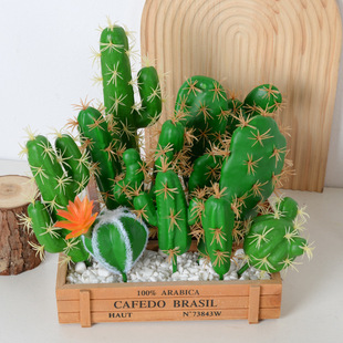 ���������¿������������Ա��Wins�Gֲ�͏d�Ҿ��b���ֲ�����l