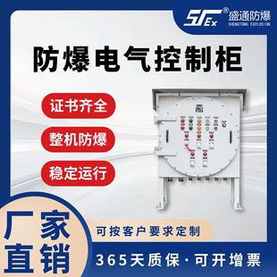Iic Explosion-Proof Electrical Control Cabinet Non-Standard Customization Uses Special Outdoor Rain-Proof and Explosion-Proof Control Box for Power and Chemical Industry