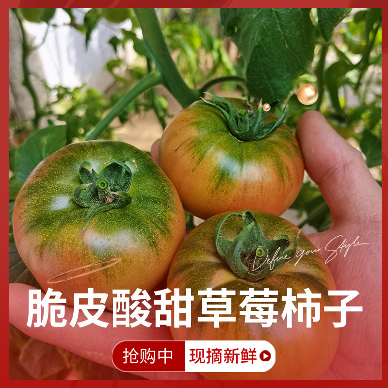 Haiyang strawberry Tomatoes Taste tomato Sweet and sour Diana Provence Strawberry persimmon