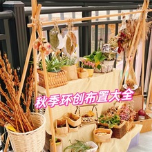 幼儿园秋天主题环创自然角造景装饰材料竹编篮筐晒秋场景布置架子