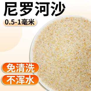 �~���쾰��ɳ���_��ɳ���yɳ�ݸ����������~��ɰ��ɳ�Sɫ��ɳˮ��