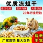 食用养殖五谷蝇蛆干