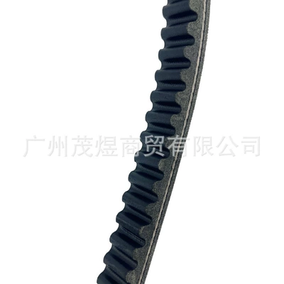 Belt High Quality – Belt
