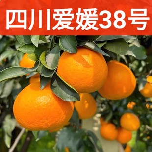 �Ĵ�����38̖������5�����rˮ����������������ք������˼t