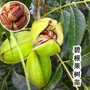 ���Ҙ��������̸�����޽����L�۹�����Y���Ϸ������Nֲ��������