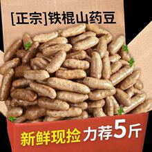 �����F��ɽș���r�ҬF���F��ɽș���I�B�S�������ּZ�Ǻ��J������