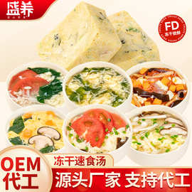 盛养芙蓉鲜蔬冻干速食汤FD紫菜海鲜汤番茄鸡蛋冲泡即食蛋花汤批发